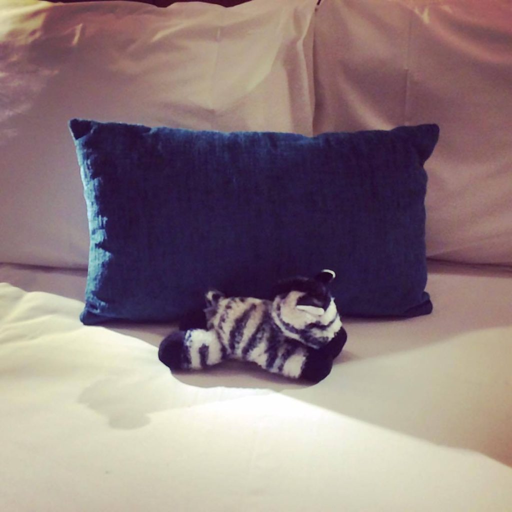 A blue pillow resting on a bed, with a zebra teddy in front of it.