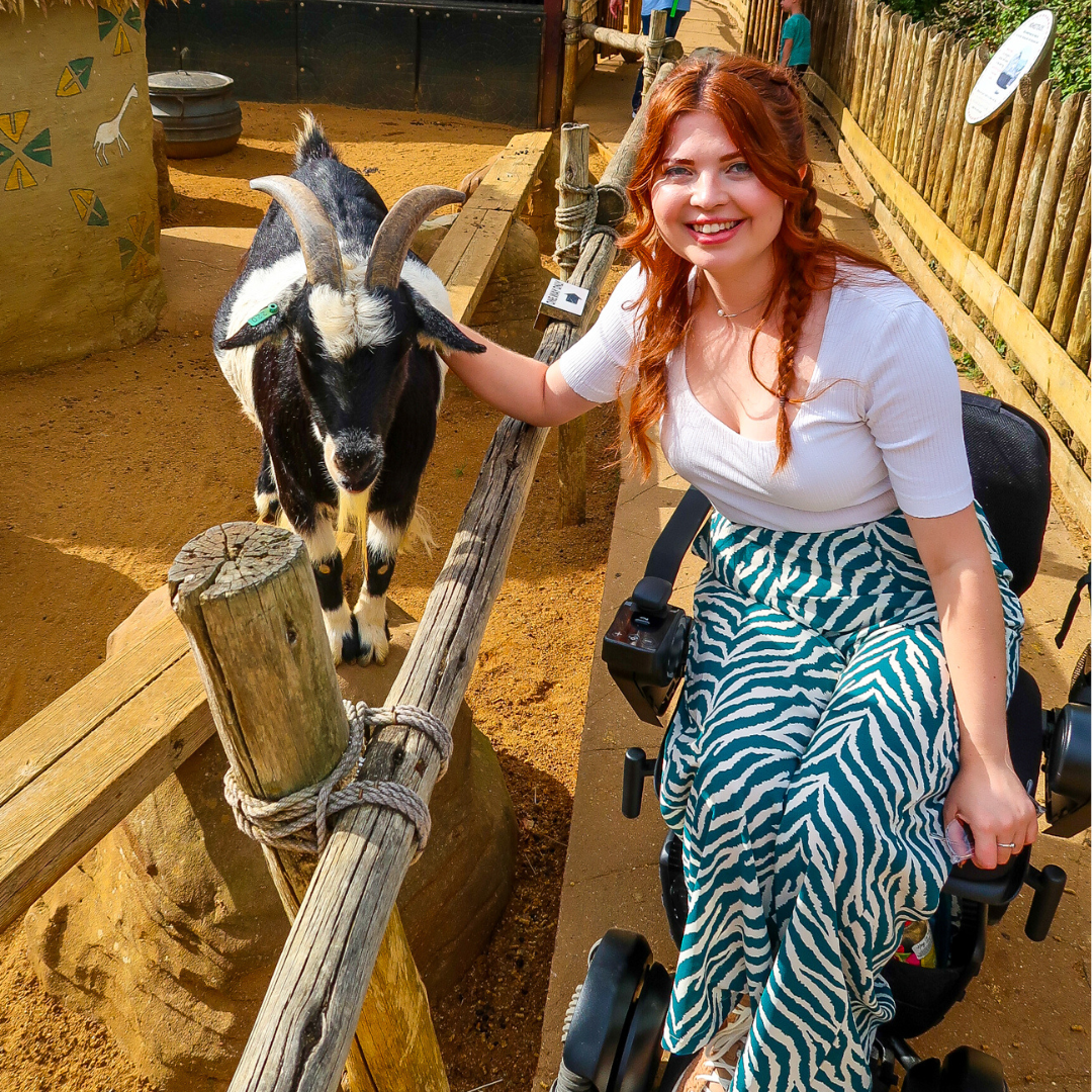 Jenni a white disabled woman with auburn hair sits in her wheelchair at Colchester Zoo. she is wearing a white t shirt and green zebra print trousers and is stroking a black and white pygmy goat